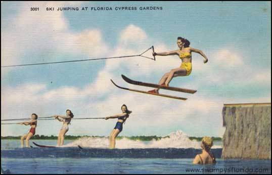 Swampy S Postcard Monday Jumping At Cypress Gardens Swampy S