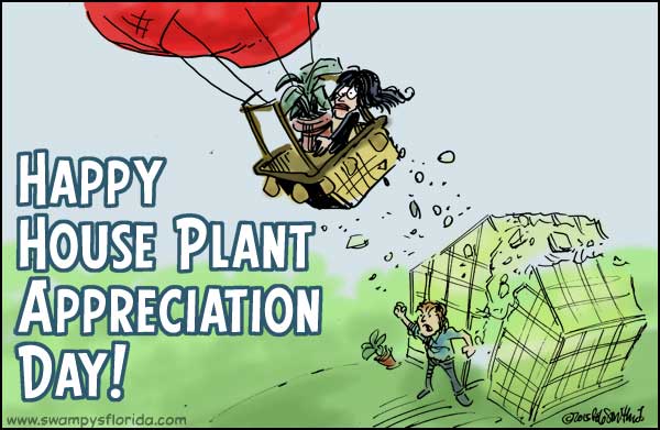 Swampy's Happy ​ House Plant Appreciation Day! – Swampy's