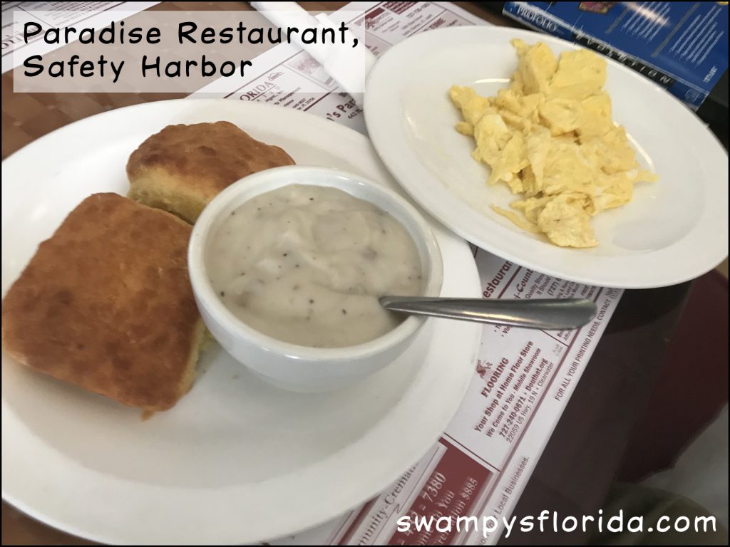 Swampy's Blog - Page 38 - Swampy's Florida