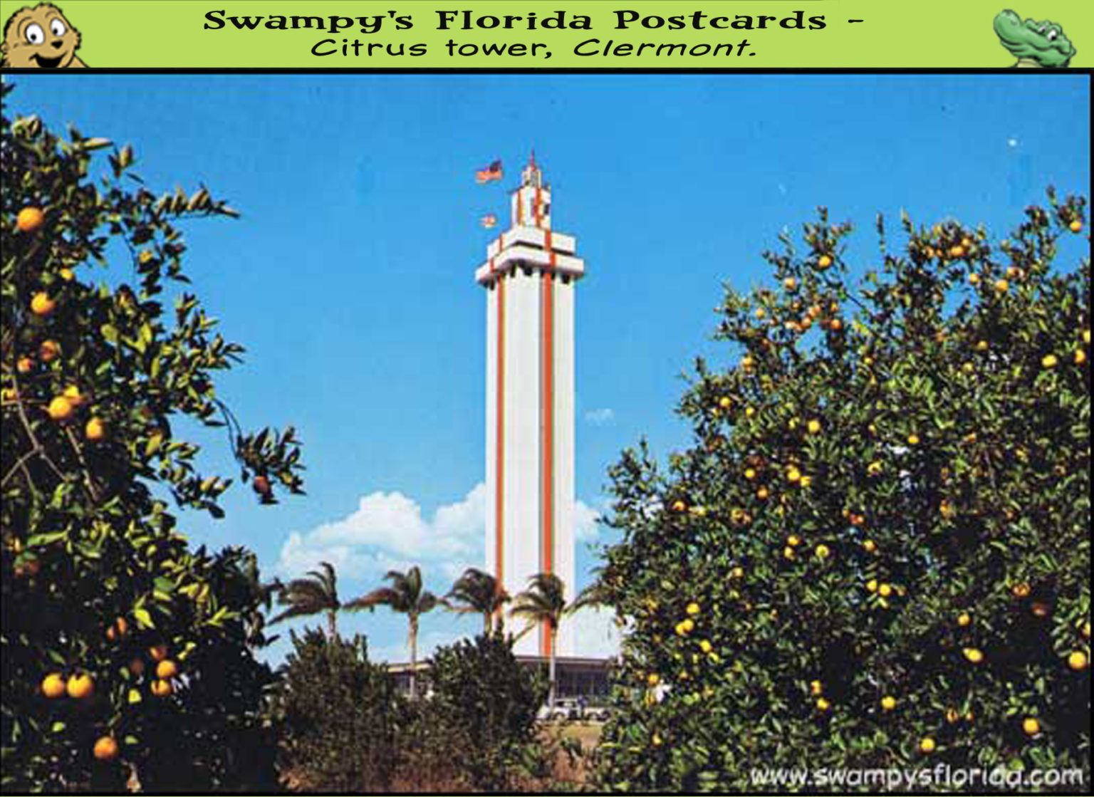Citrus tower postcard clermont
