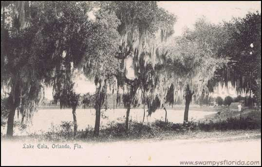 Swampy’s #Florida Postcard: Lake Eola, #Orlando, early 1900s. – Swampy ...